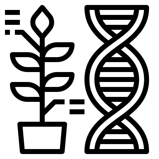 Chemical & Industrial Plants